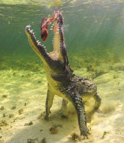 tumblr_77857d54fb0d5c621adf9a6cc62c16bc_b1d164a1_540