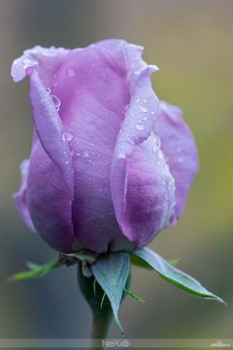 10:29:58 GMT-0600 (CST)