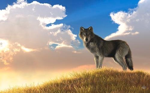 10:00:44 GMT-0600 (CST)