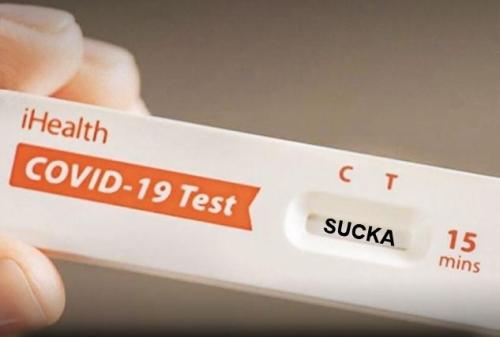 pcr covid test09