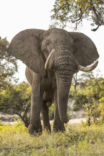 272166507_1748197798712896_2157447222280877093_n