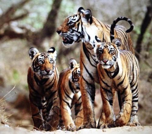 5936a8ee8b7a9835191cc551cc275e9d