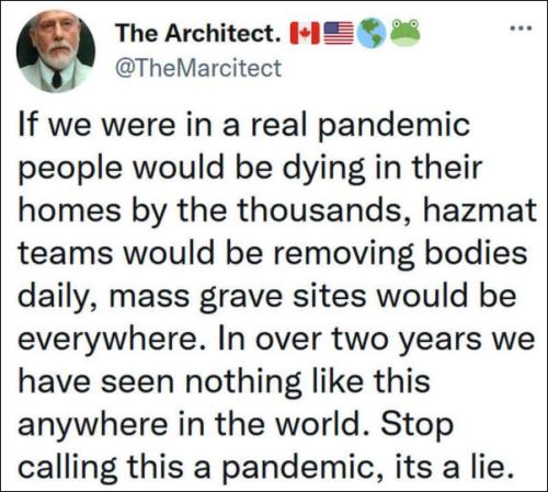 scamdemic43
