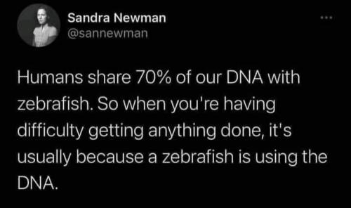 20:35:36 GMT-0500 (EST)