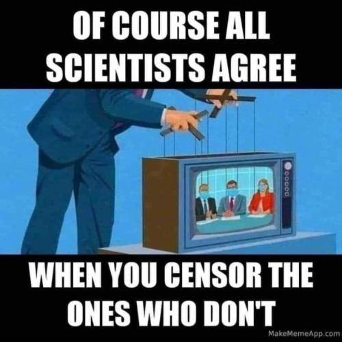 272846836_710109247061259_5538694231461958375_n