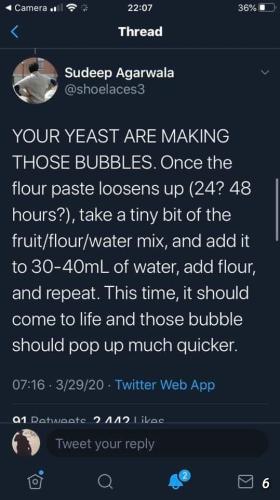 DIY Yeast 5