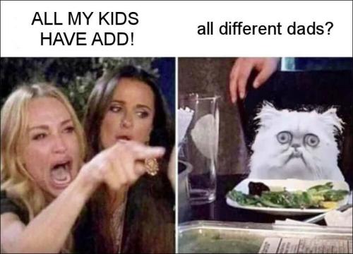 all my kids have ADD