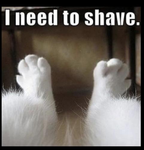 FB_IMG_1641967632225