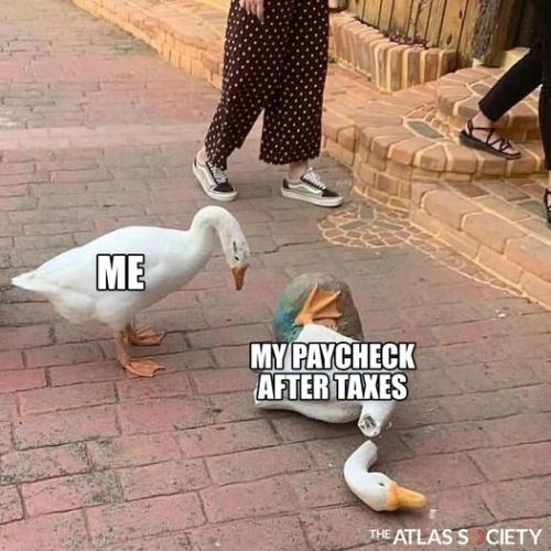 271883363_10159753168830351_3864287966490701939_n