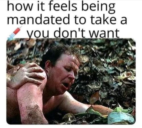 FB_IMG_1642449076208