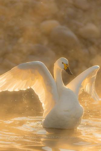 271598669_490993522404326_6864505519475759929_n