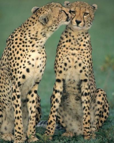 tumblr_1fcd09ca4c21459529d89153a90942fd_3bd5aacb_540