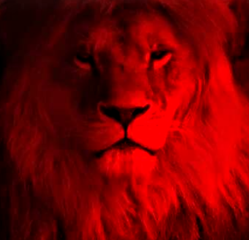 Screenshot_20201204-184703~2