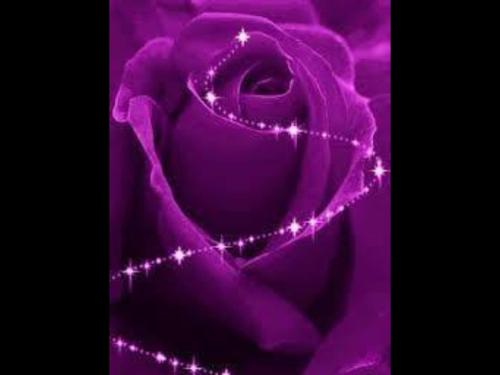 12010586_911617325584641_3309279268350639827_o