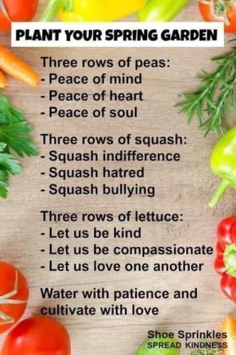 271064957_3322953004607464_8840511440029749435_n