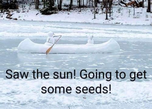 272001445_4596965000410298_3002955973625989622_n