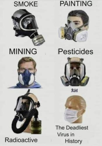 FB_IMG_1643129536631
