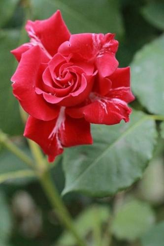 21:05:26 GMT-0600 (CST)