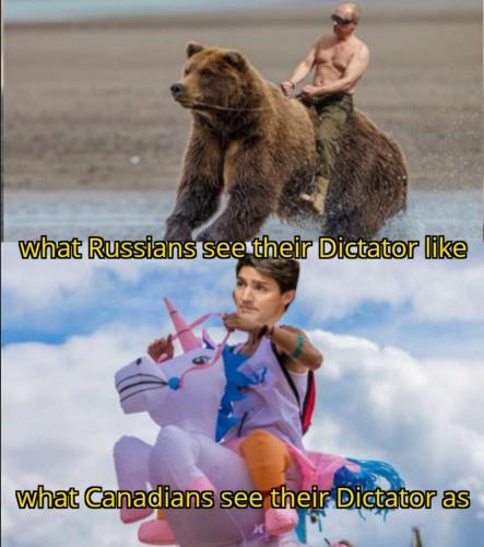 AFA9AB78-E6B1-474C-92D5-DA8DC4BF8A9E