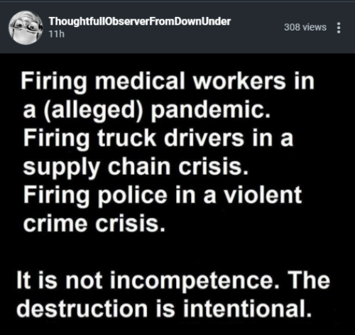 image_2022-01-24_023343