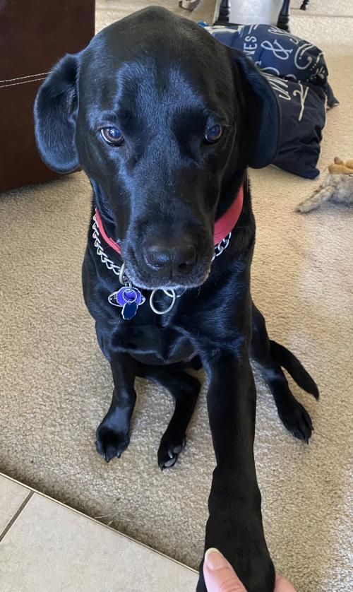 25ACAE80-EE28-4759-AF2E-376363798C69