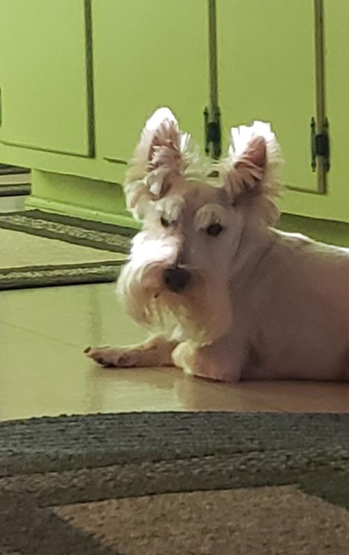 16:12:28 GMT-0600 (CST)