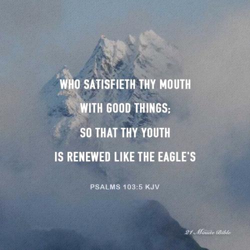 09:17:17 GMT-0500 (EST).*