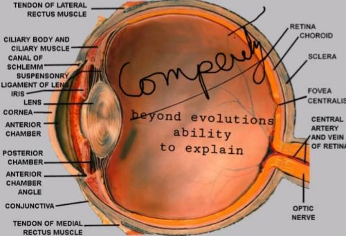 Screenshot_20220109-064426_DuckDuckGo