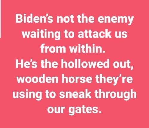 biden'horse f