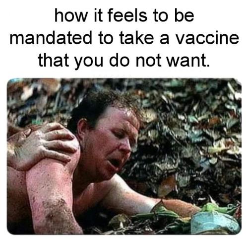 vaccine521