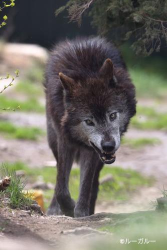 a051513db3175e6dcc446781231cd80e