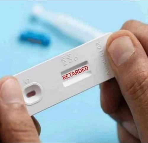 03c104ed-fd62-4d0a-a29c-f09c4f47bfb0d