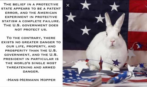 50728561_2102040359845005_3568429030480805888_n