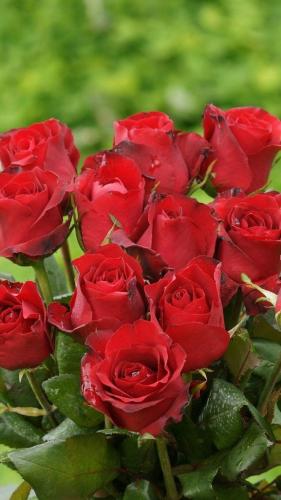 21:05:26 GMT-0600 (CST)