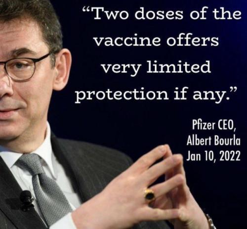 Pfizer vax no protection