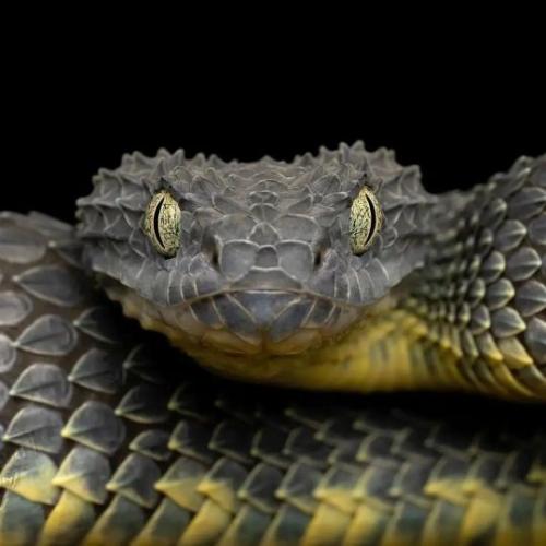 tumblr_8ab5ee7ff60e637b0f93b4b66e615abc_58588624_540