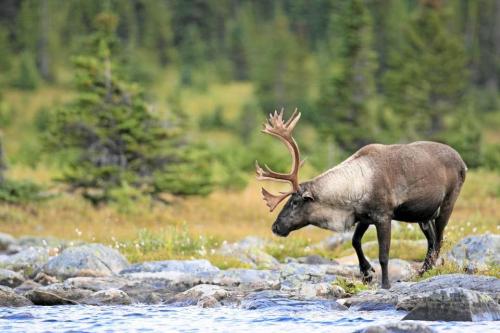 273766219_1762207043978638_1940184803113768414_n