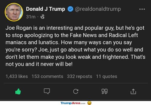 stop-it-joe