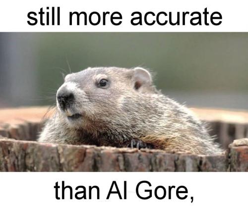 pux phil11