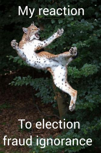 15:02:51 GMT-0600 (CST)