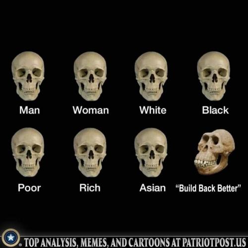 FB_IMG_1644041242133