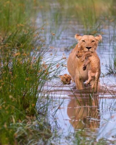 274465676_1769321916600484_5030638363346958855_n