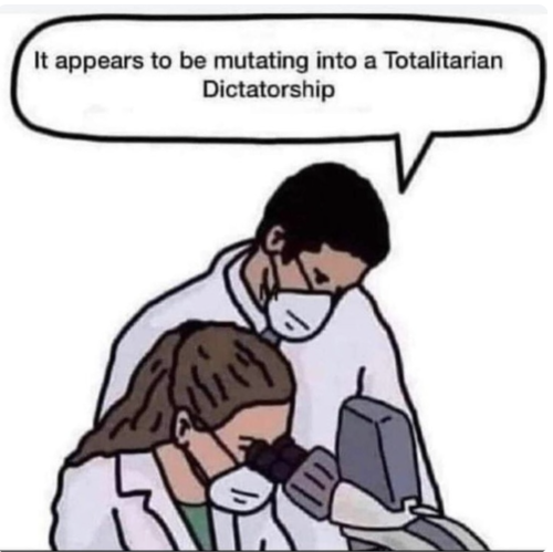 3c01d60b-9cd4-4231-98e3-5b147f0dd5bd_1012x1010