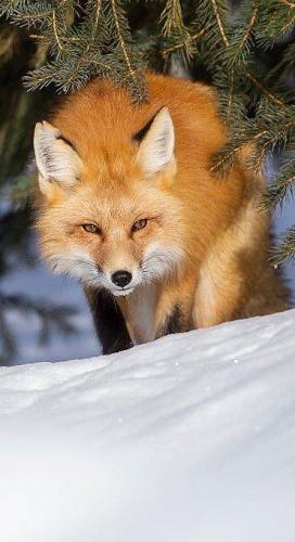 273410098_1758849887647687_2891586712226054717_n