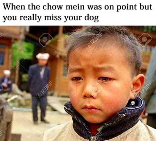 FB_IMG_1644269305211
