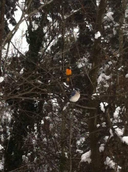 FB_IMG_1645880519818