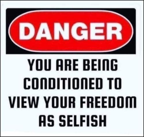 freedom22