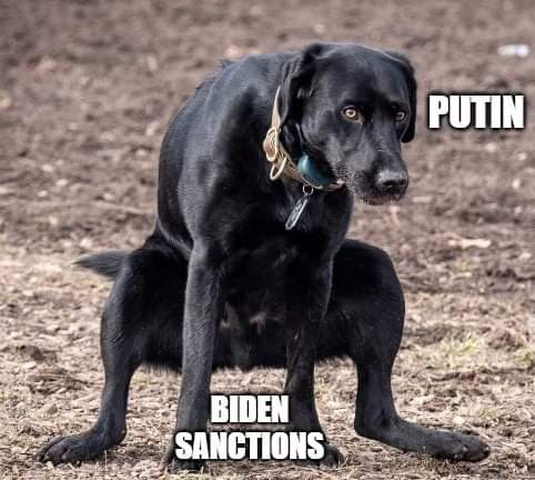 FB_IMG_1645814630672
