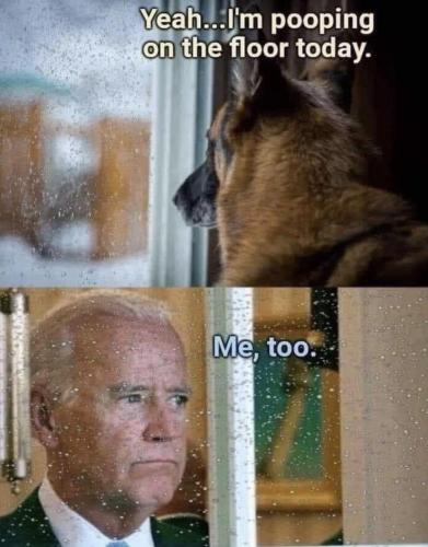 09C33C7F-0612-45A6-A8D6-985AF326D9C4