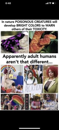 19:41:13 GMT-0600 (CST).image